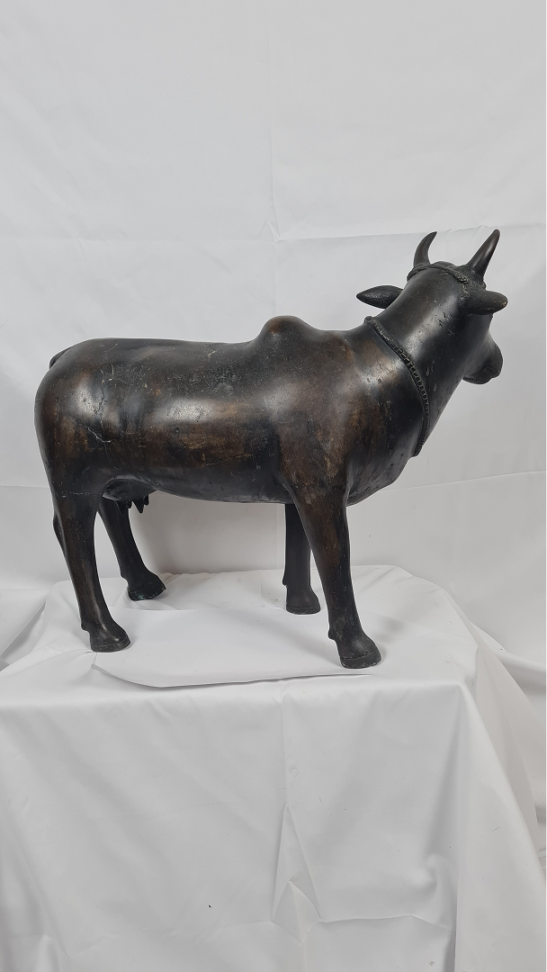 Vache sacrée Inde — 4