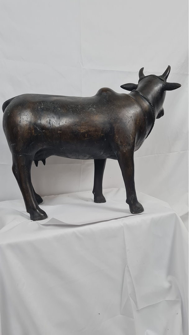 Vache sacrée Inde — 5