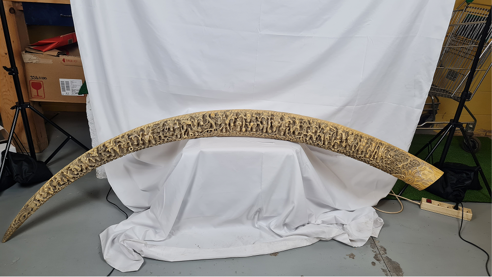 Grande défense sculptée à la procession des immortels — 7