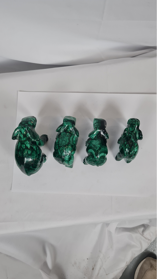 Ensemble d'éléphants — 3