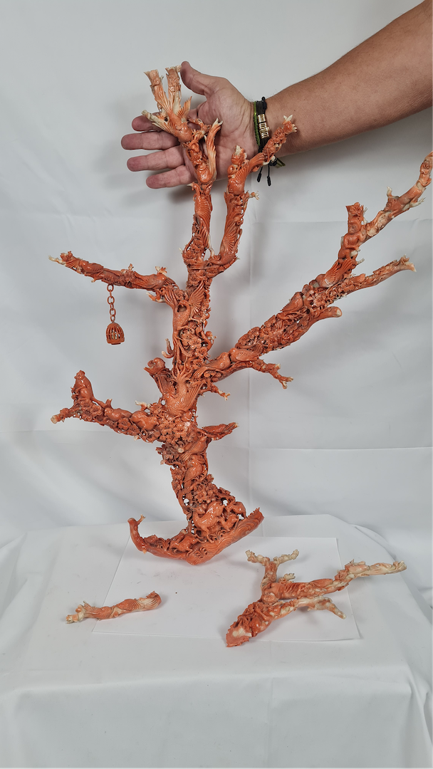 Sculpture corail rouge