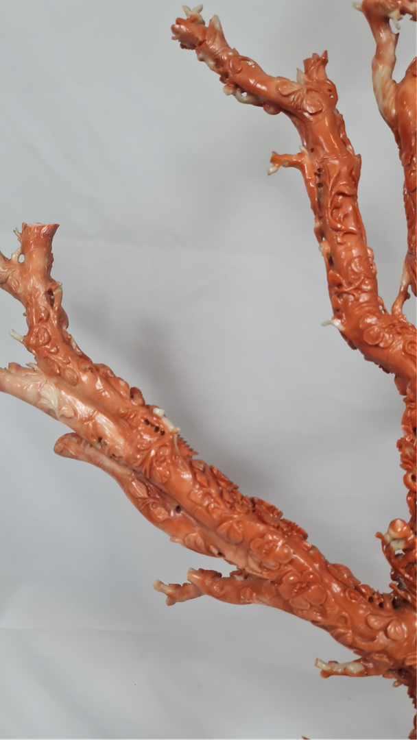 Sculpture corail rouge — 10