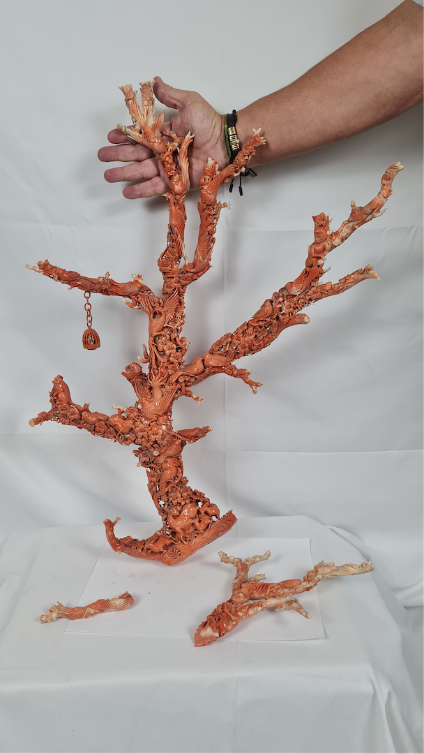 Sculpture corail rouge — 2