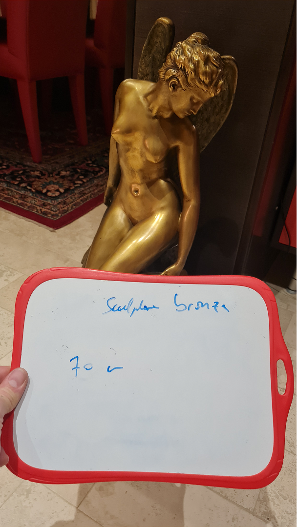 L'hirondelle blessée